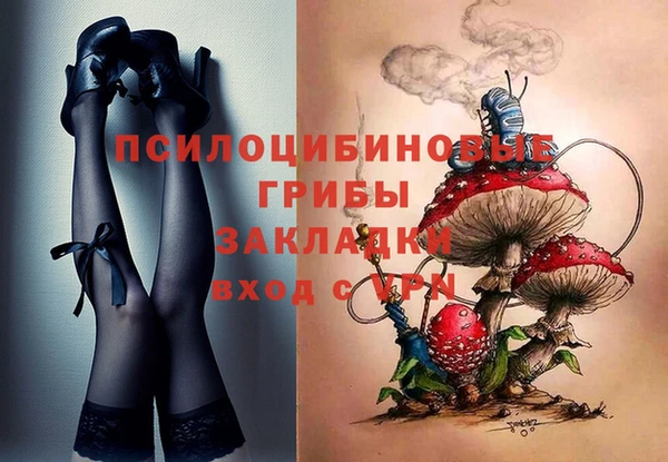 амфетамин Богородицк