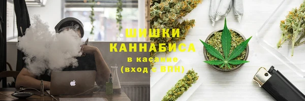 mdpv Богданович