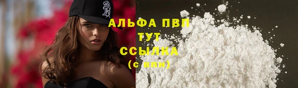 mdpv Богданович
