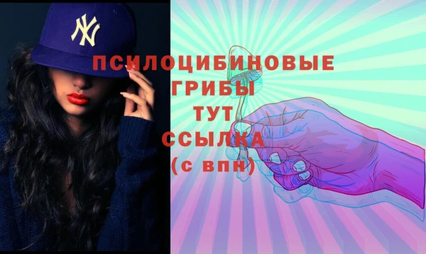амфетамин Богородицк