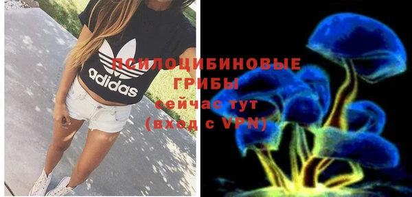 MDMA Богородск