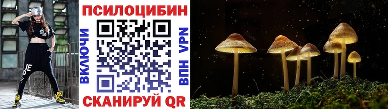 Галлюциногенные грибы прущие грибы Гусев