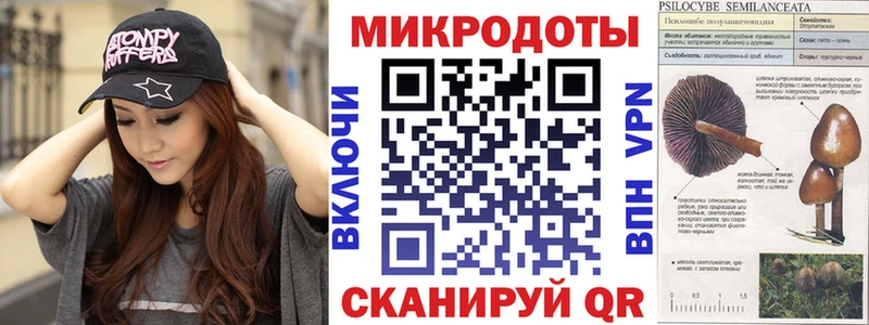 цена   ОМГ ОМГ как зайти  Псилоцибиновые грибы MAGIC MUSHROOMS  Гусев 